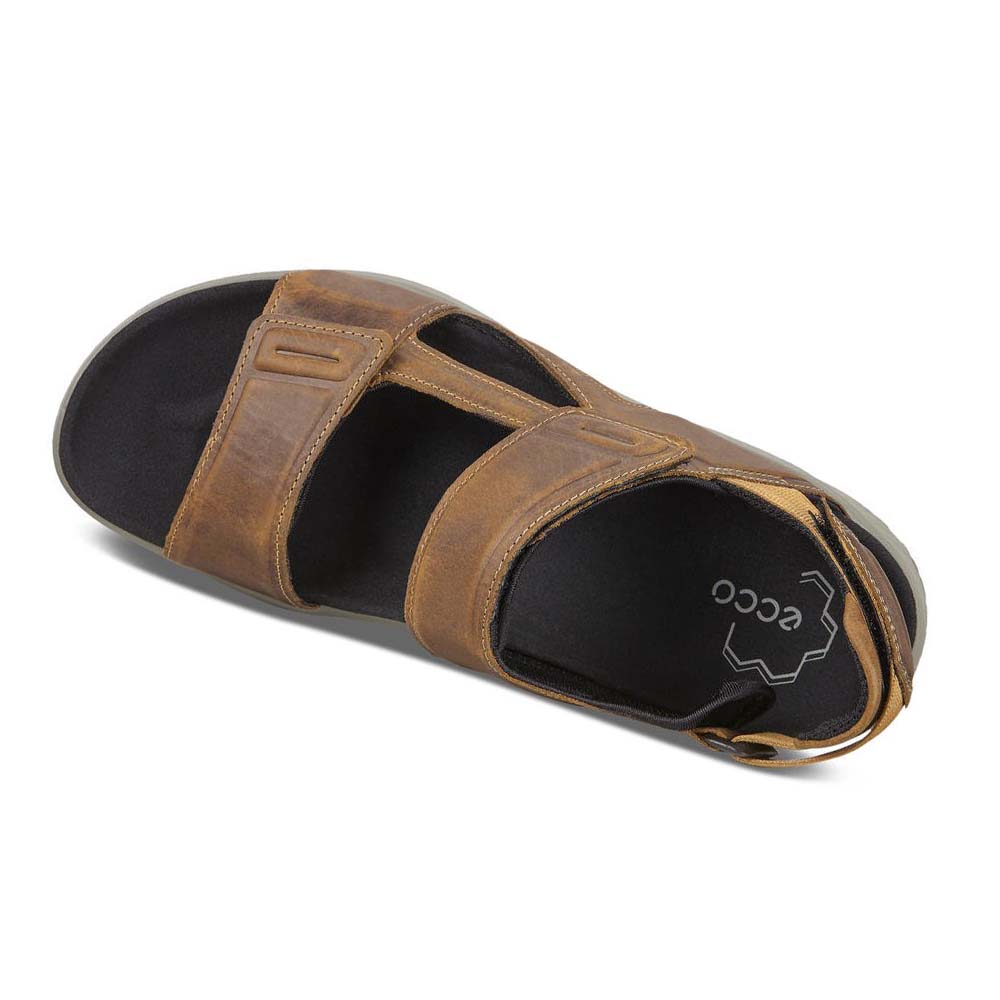 Men's Ecco X-trinsic Flat Sandals Brown | USA 592LIS